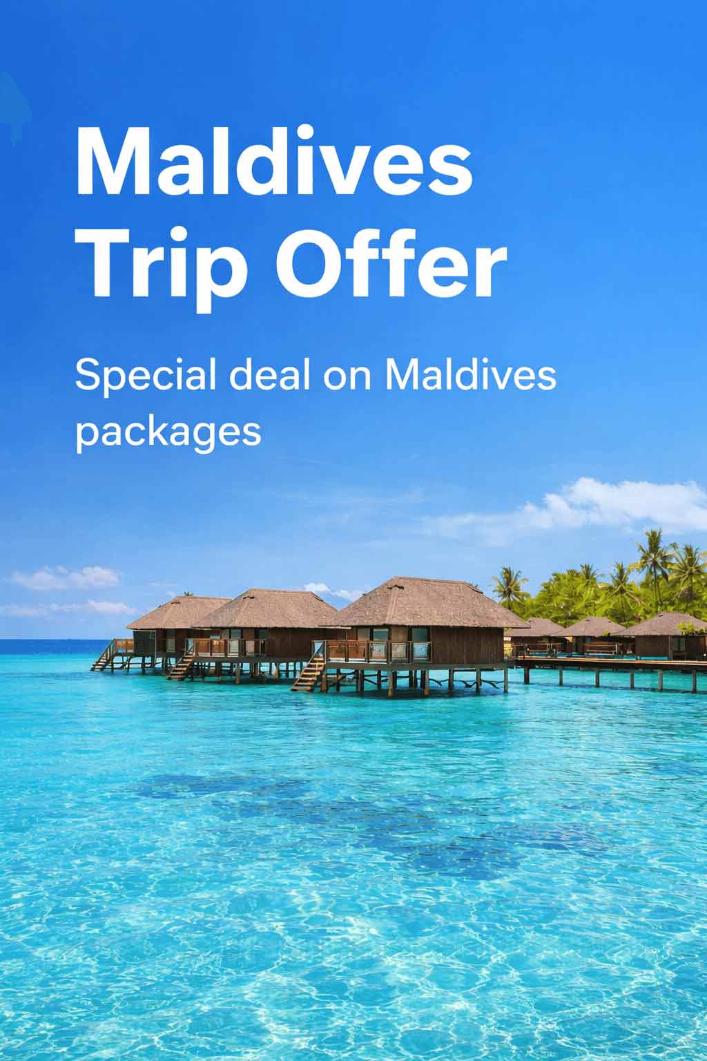 Trip Offer