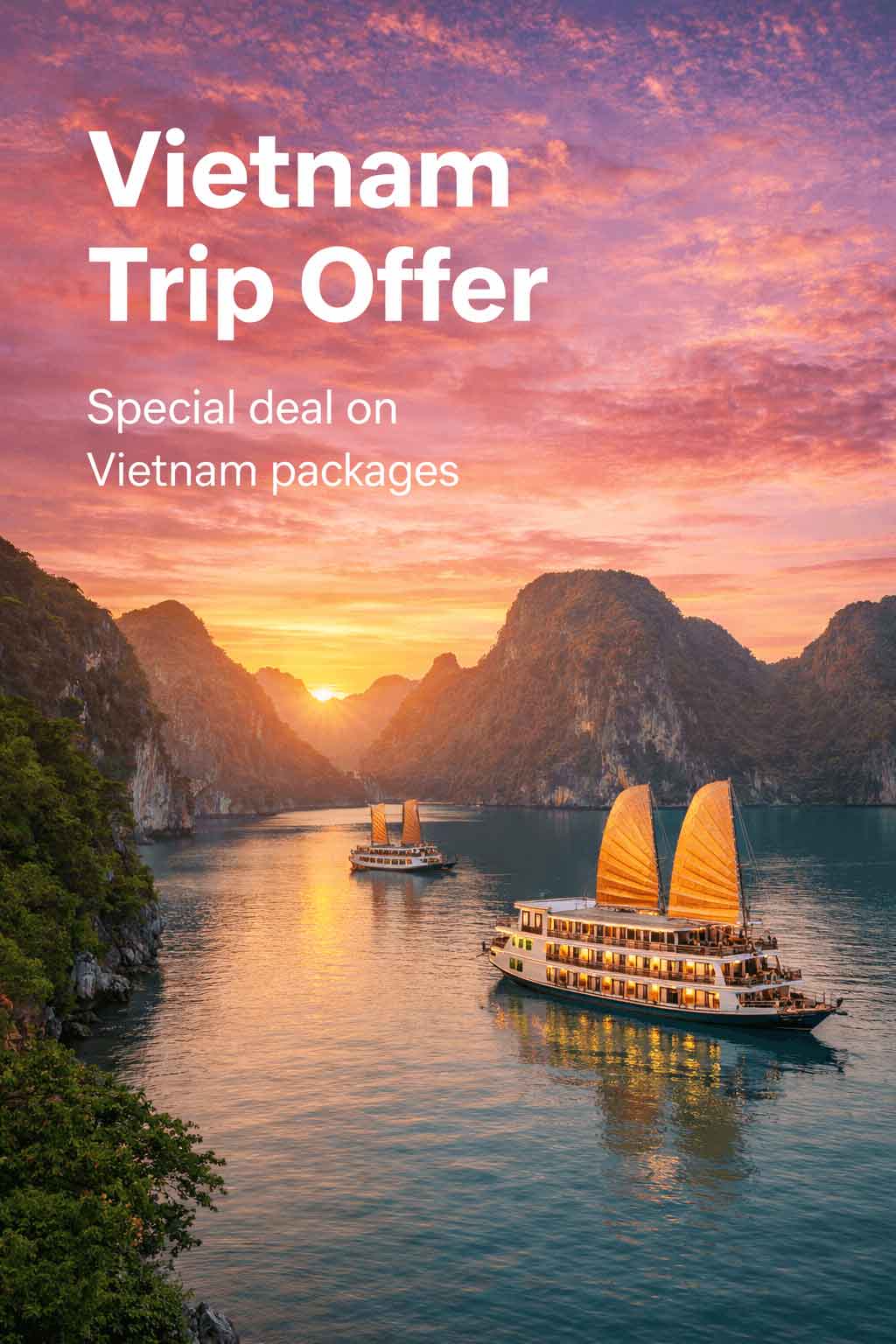 Trip Offer